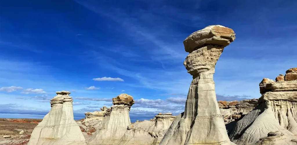 New Mexico debt relief and debt consolidation