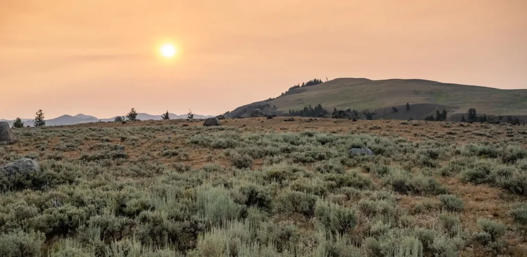 Wyoming debt relief and debt consolidation