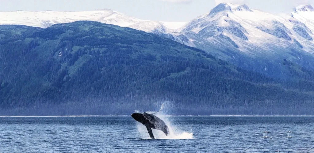 Alaska debt relief and debt consolidation
